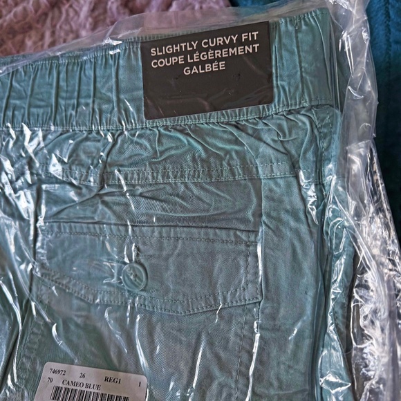 CAPRIS, SLIGHTLY CURVY FIT, CAMEO BLUE SIZE 26, POCKETS, ADDITION ELLE, ORIG BAG - Picture 1 of 1